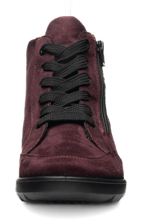 Ara Thistle Gore-tex® Waterproof Bootie In Burgundy