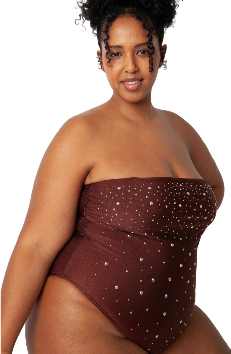 Villa Fresca Simone One Piece Swimsuit, Alternate, color, Chocolate