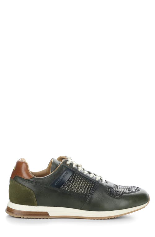 Ambitious 11240 Perforated Sneaker In Black