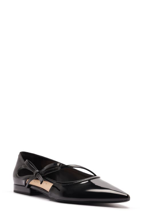 Arezzo Tessa Pointed Toe Flat In Black