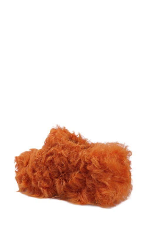 Zigi Fauna Genuine Shearling Platform Clog Slipper In Orange