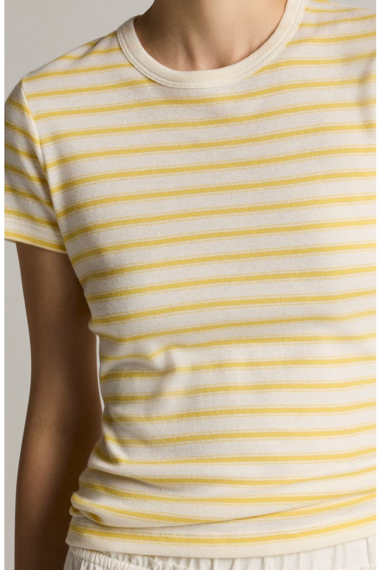 Shrunken 90s Stripe Tee, Alternate, color, LIMONE COMBO