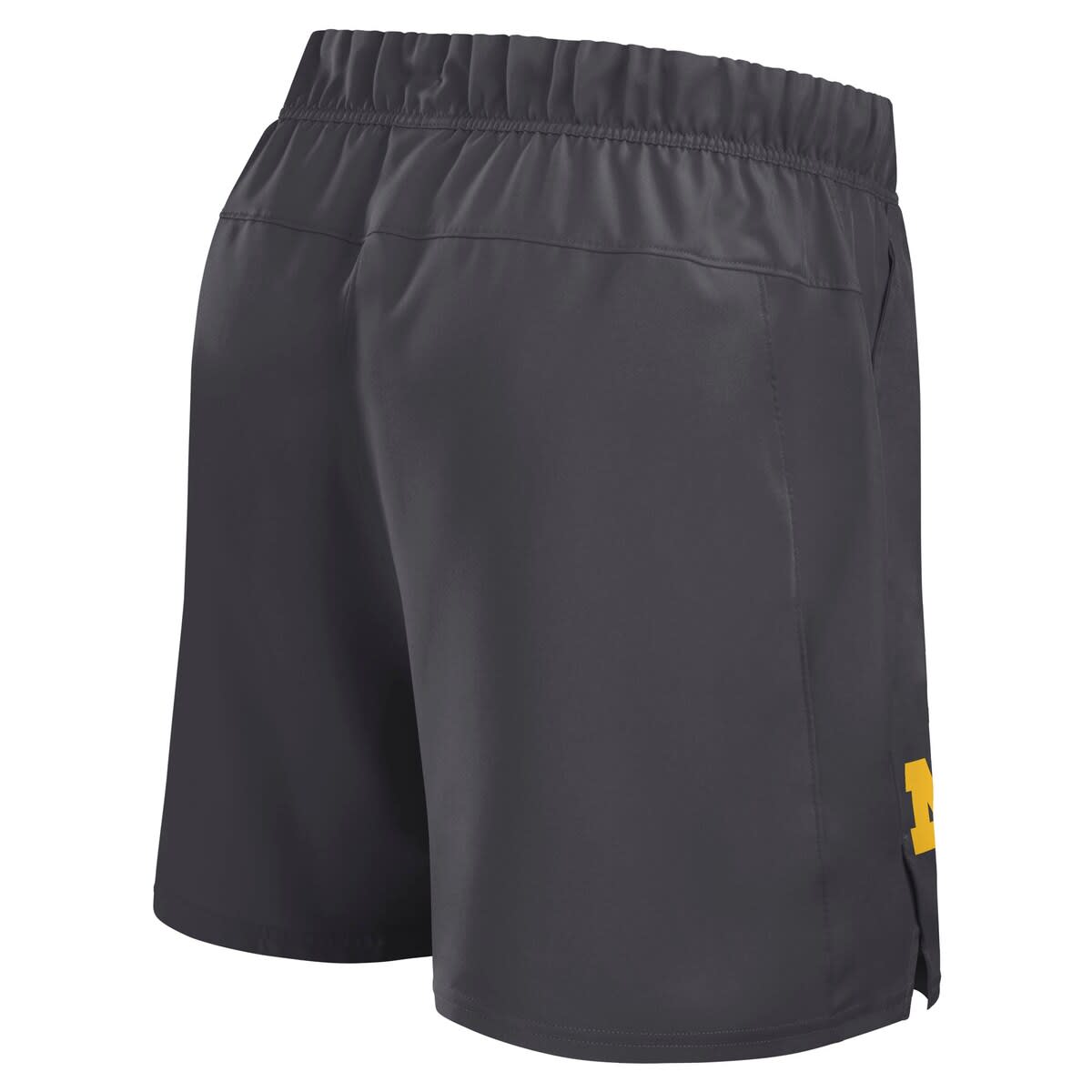 jordan michigan shorts