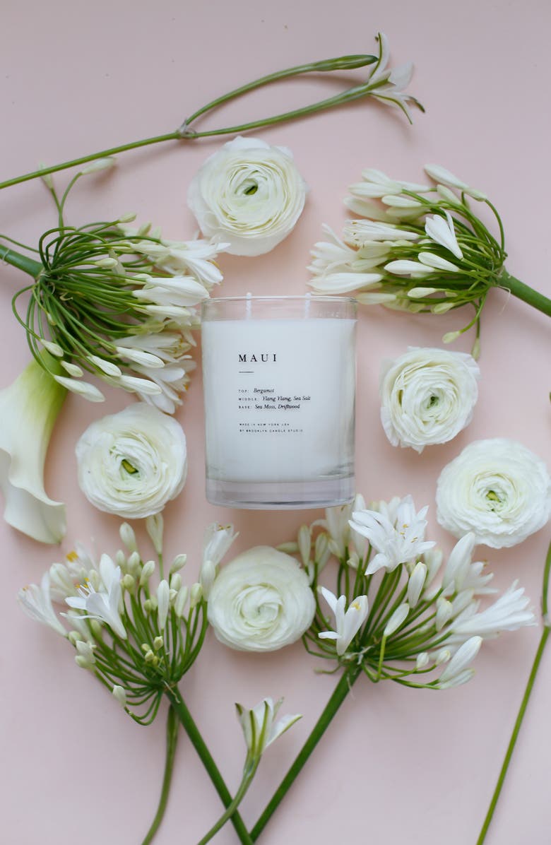 BROOKLYN CANDLE STUDIO Maui Classic 2-Wick Candle, Alternate, color, Maui