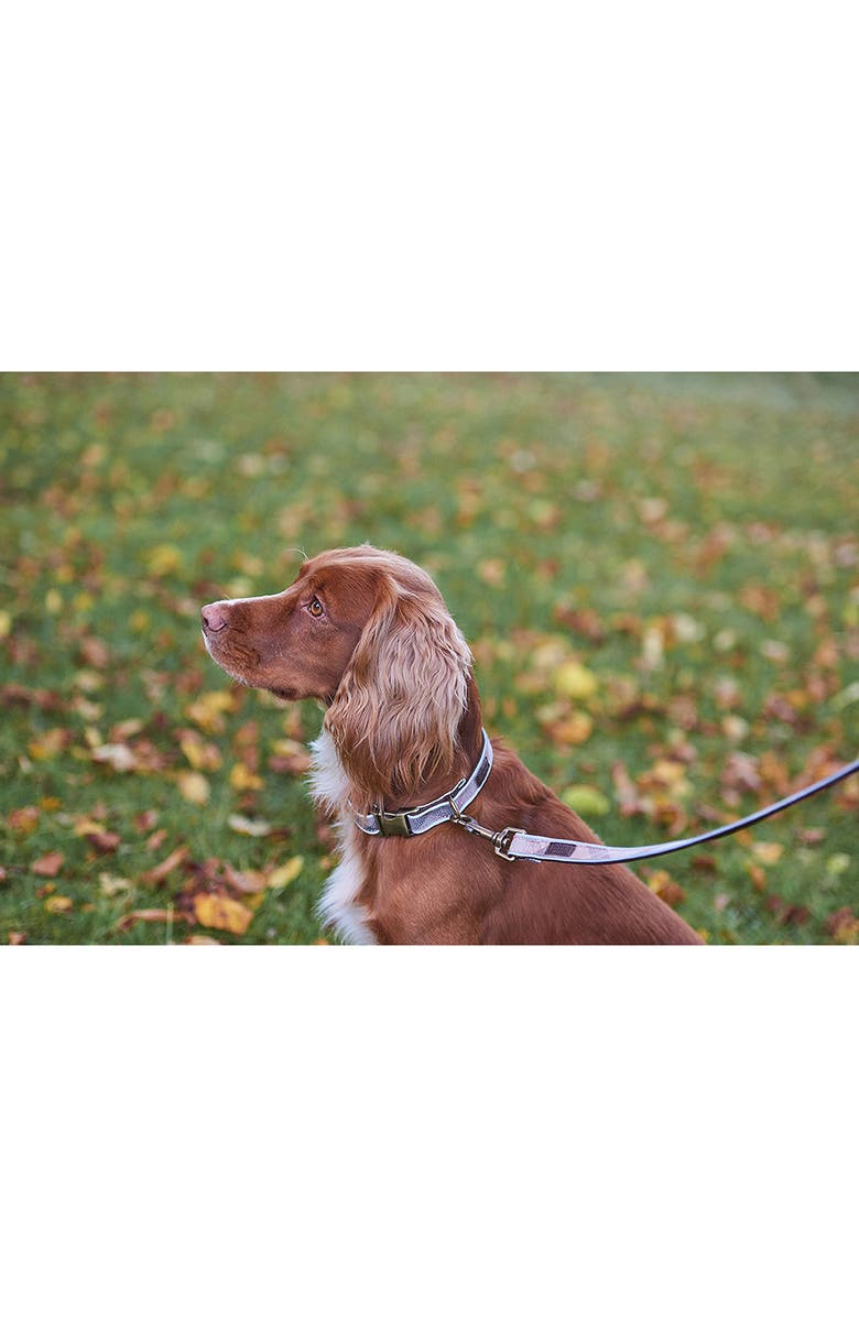 Barbour Reflective Tartan Dog Collar, Alternate, color, 