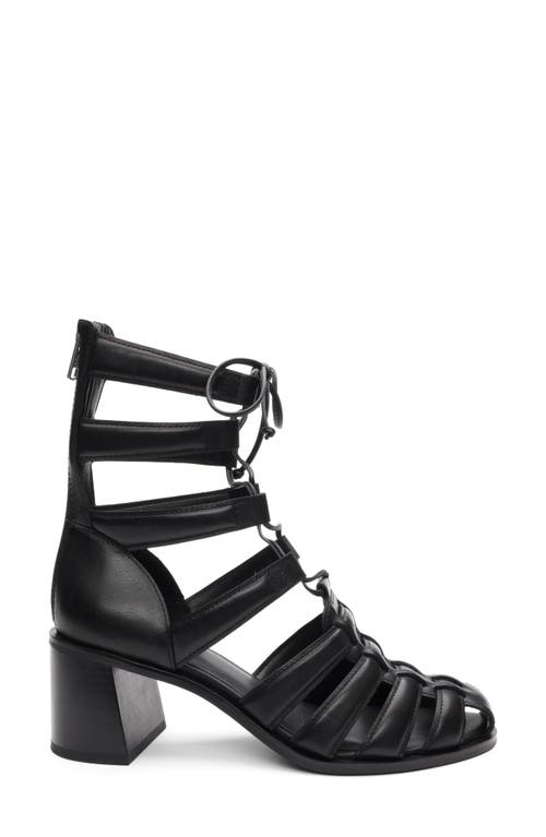 Ash Juvia Lace-up Gladiator Sandal In Black