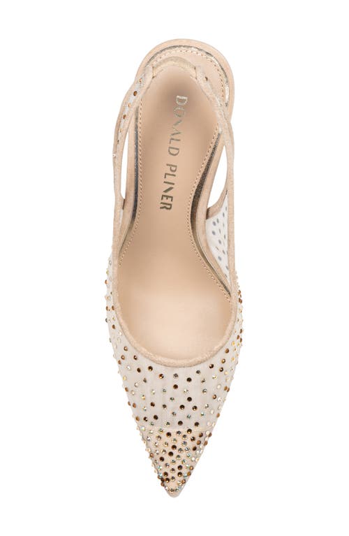 Donald Pliner Sodashi Snakeskin Embossed Pointed Toe Slingback Pump In Neutral