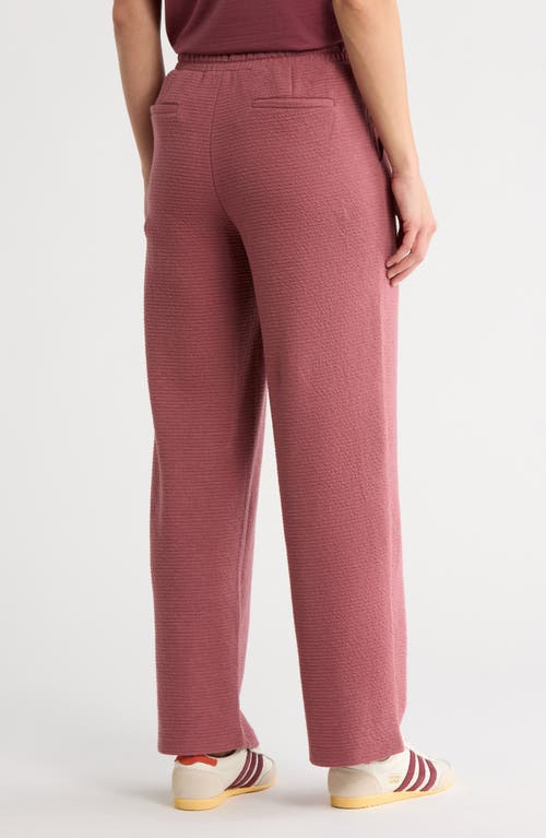 Marika Freyi Drawstring Waist Pants In Brown