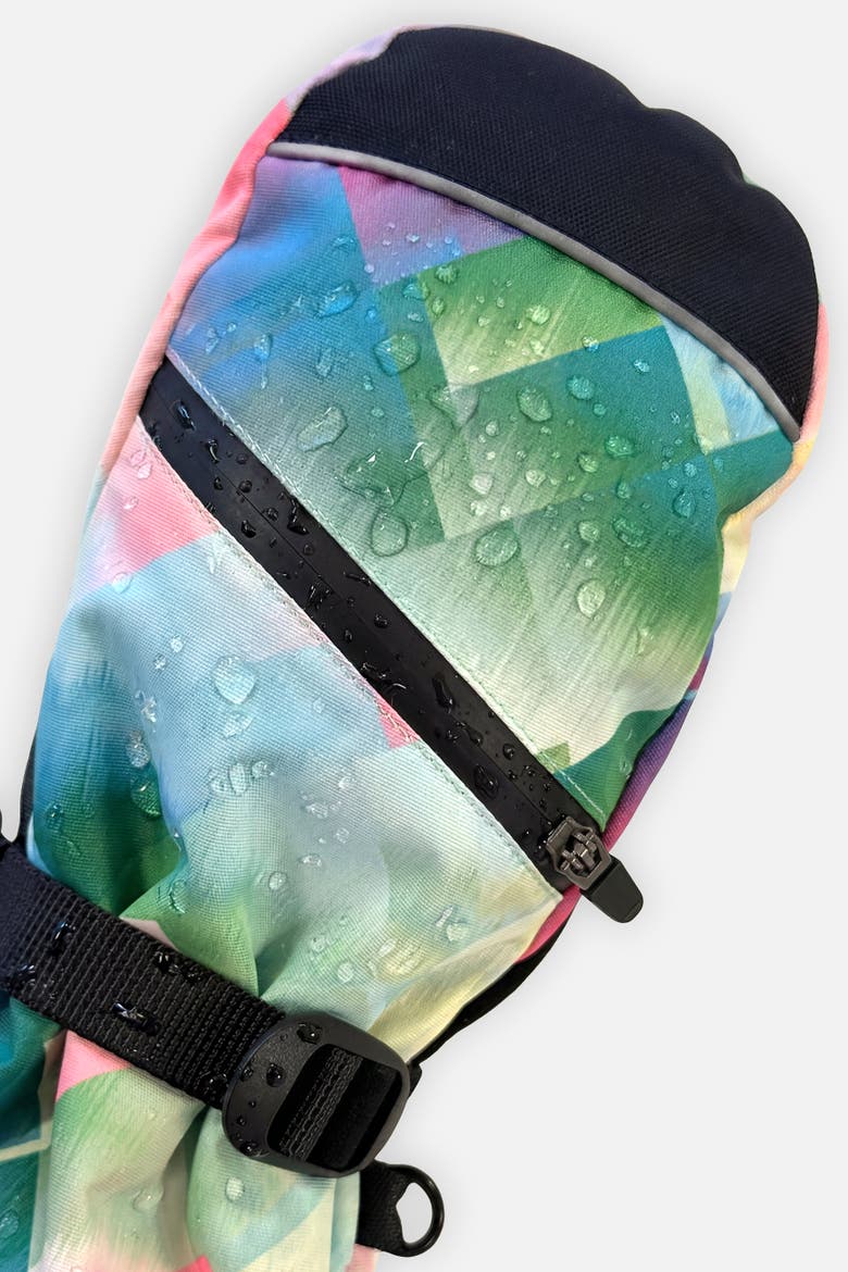Diamond Teknik Waterproof Cordura Reinforced Winter Mittens, Alternate, color, Multicolored with a Diamond