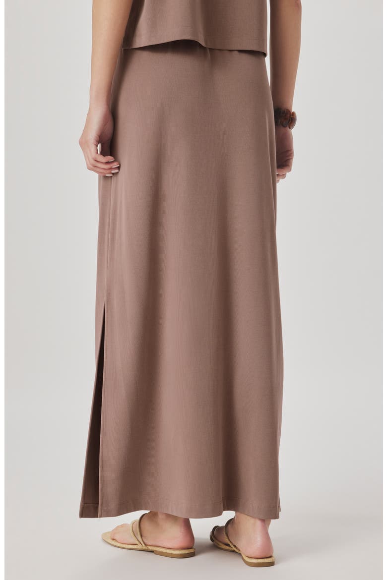 Sasha Sandwash Maxi Skirt, Alternate, color, WICKER BEIGE
