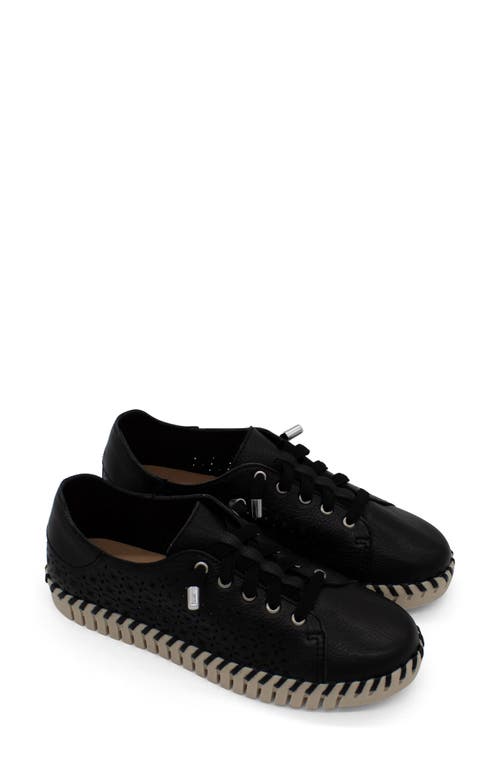 Bottero Bottwister Sport Sneaker