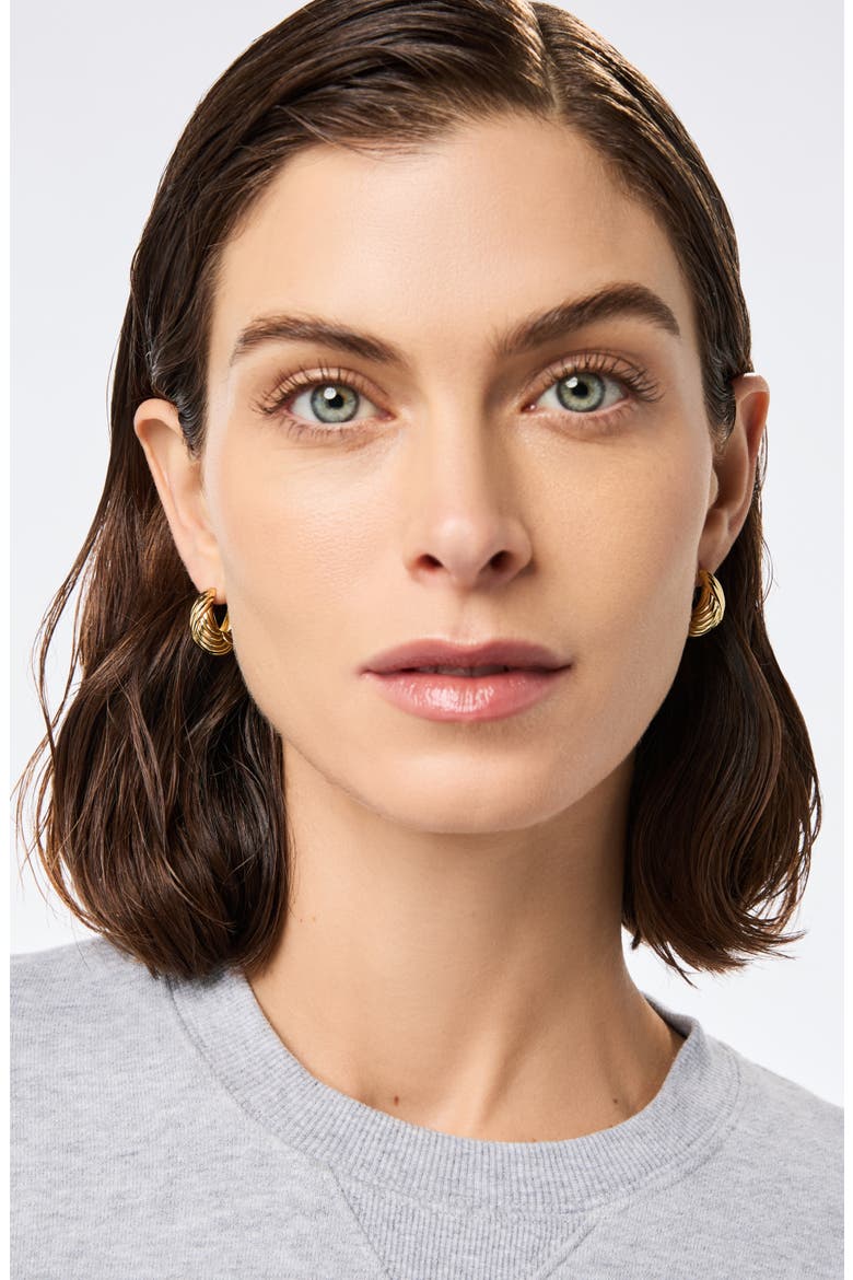 Gold Hoop Earrings - Tymie, Alternate, color, Gold