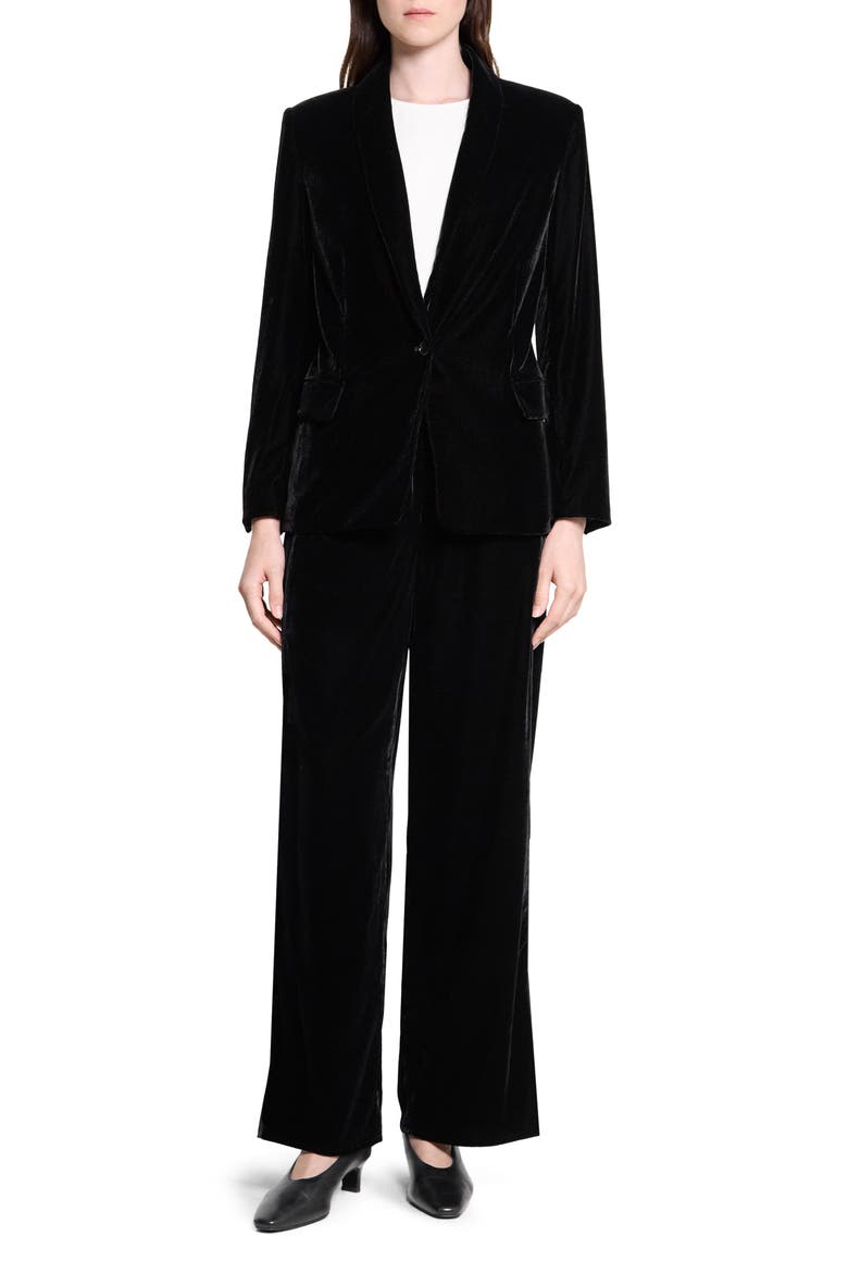 Shawl Collar Velvet Blazer, Alternate, color, BLACK - 001