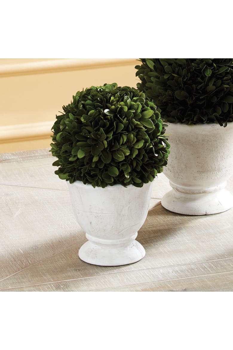 Boxwood Ball Topiary In Pot, Alternate, color, Green