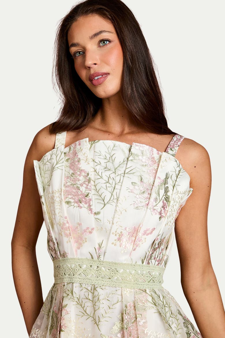 Fan Bodice Embroidered Mesh Midi Dress, Alternate, color, Ivory