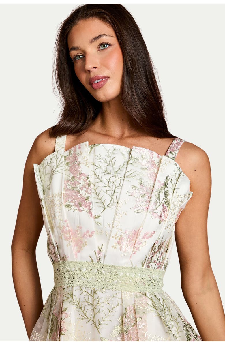 Coast Fan Bodice Embroidered Mesh Midi Dress, Alternate, color, Ivory