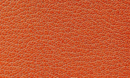 Graphic Image Leather Passport Cover In Orange