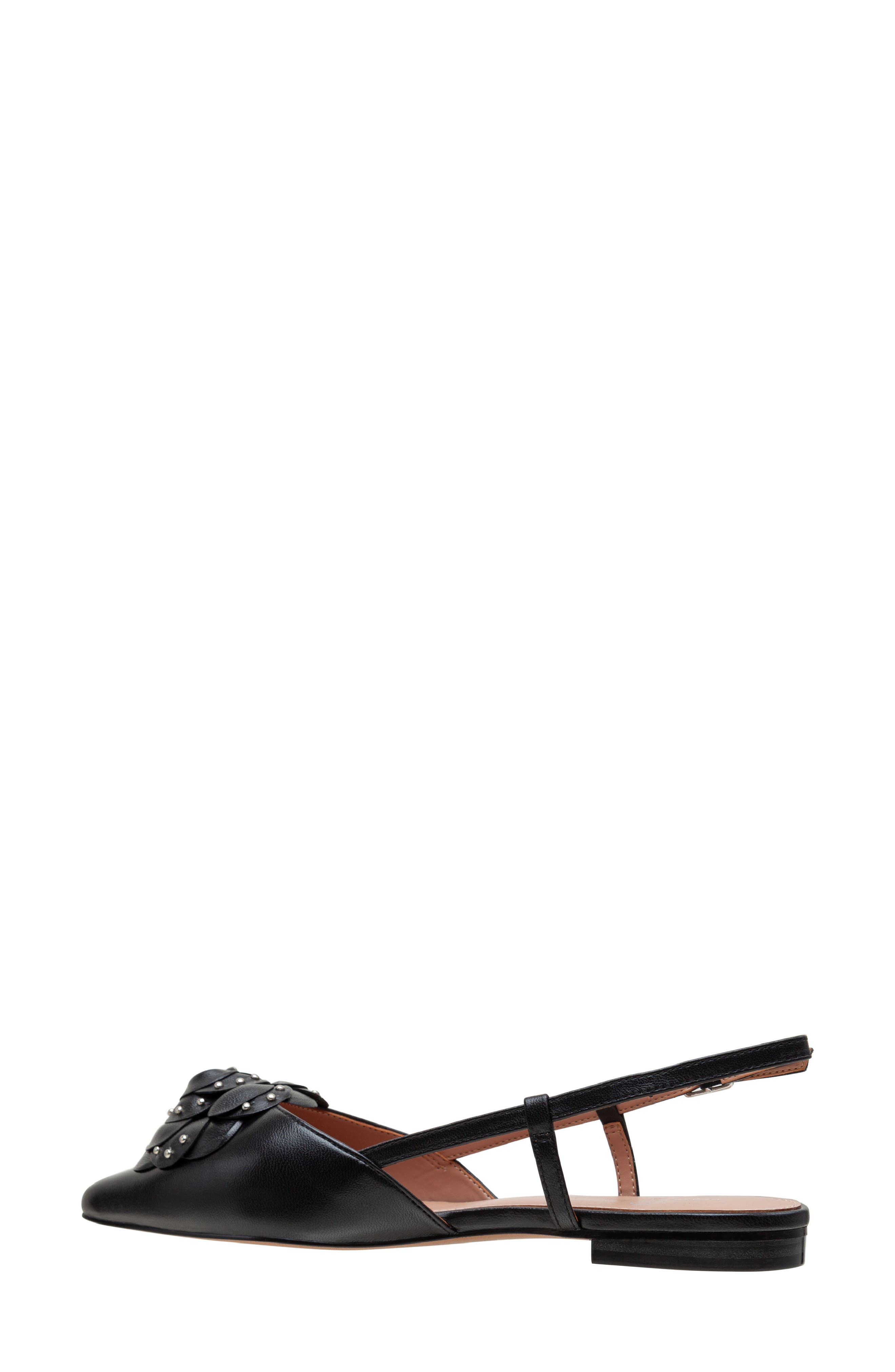 Linea Paolo Cadie Slingback Pointed Toe Flat, Alternate, color, Black