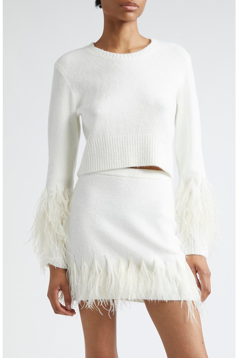 Briana Feather Trim Sweater, Main, color, IVORY