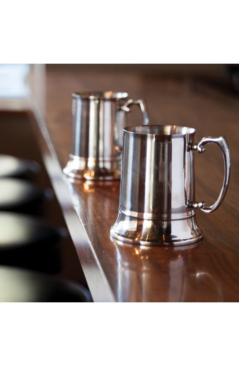 Viski Beer Stein in Stainless Steel, Alternate, color, Silver