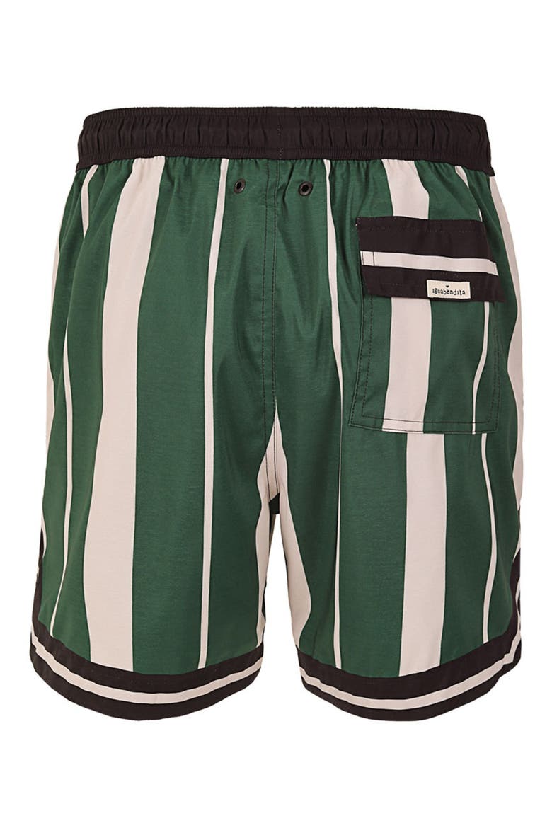 Dan Varsity Swim Trunks, Alternate, color, MULTICOLOR