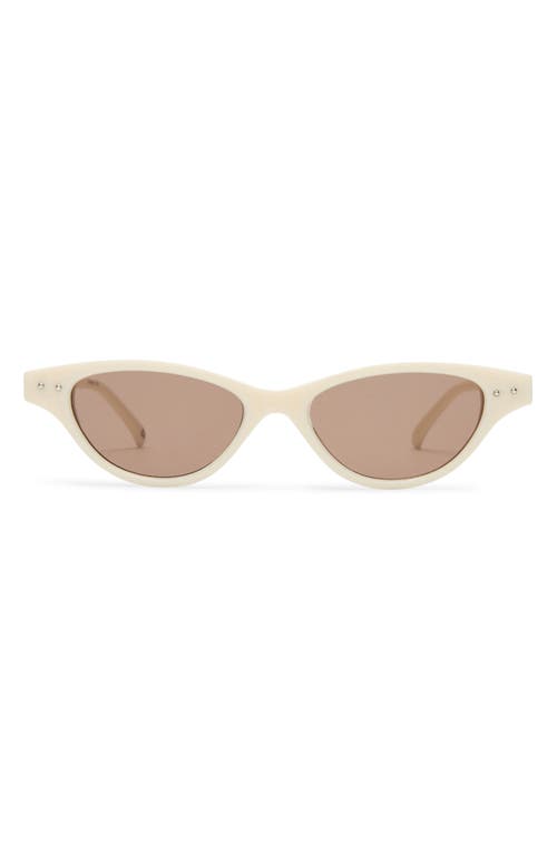 Aire Cybeles 49mm Cat Eye Sunglasses In Ivory/hazel Tint