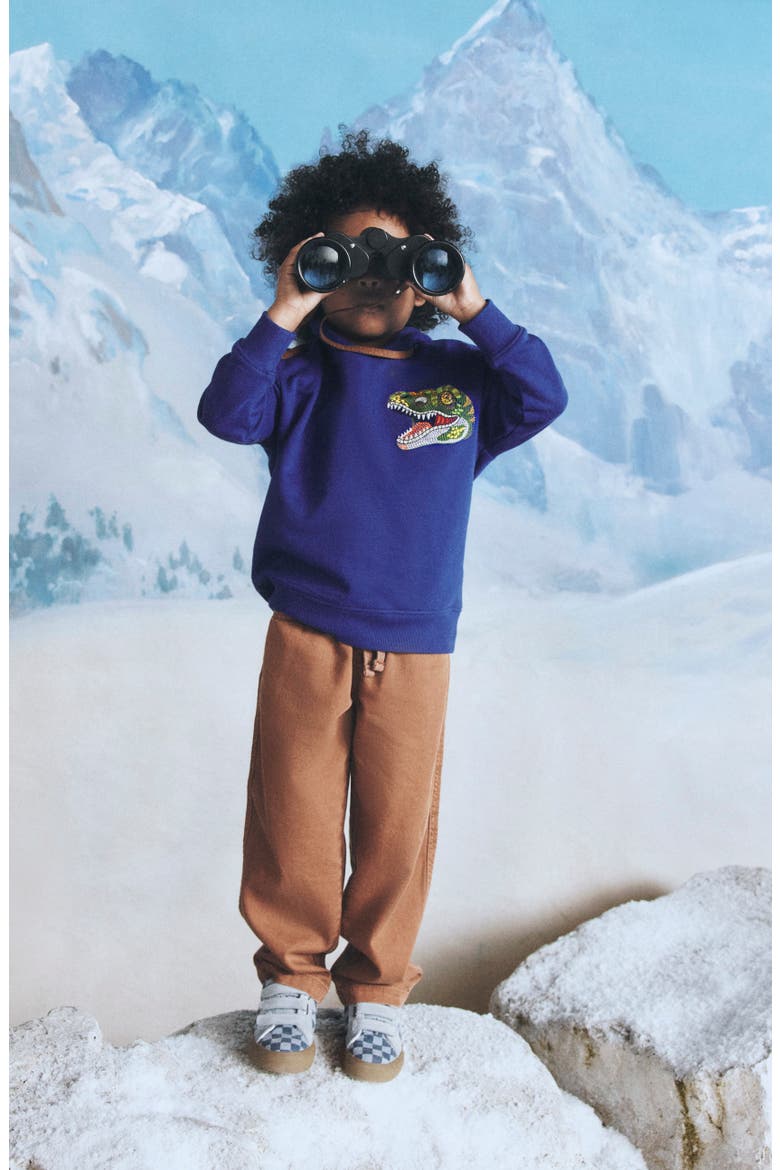 Kids' Superstitch Hoodie, Alternate, color, BLUE DINO