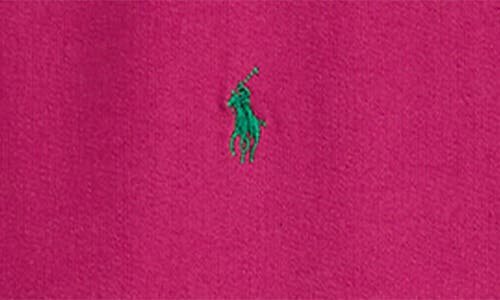 Polo Ralph Lauren Kids' Animated Logo Sweatshirt In Pink