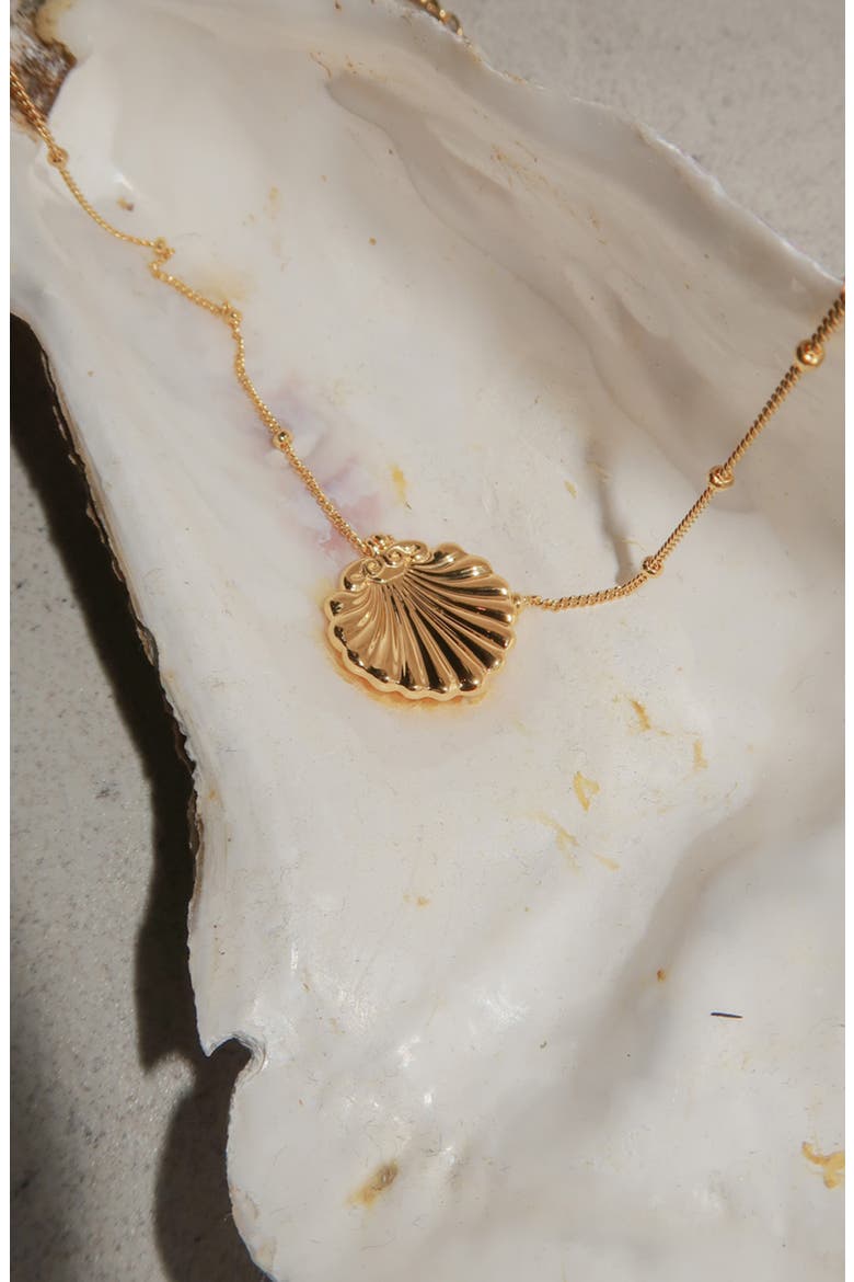 Conchigla Beaded Shell Choker Necklace in Gold, Alternate, color, Gold