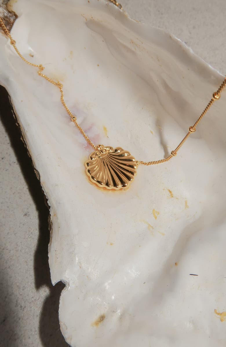 YOJ Conchigla Beaded Shell Choker Necklace in Gold, Alternate, color, Gold