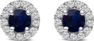 Haus of Brilliance 10K White Gold Blue Sapphire and 1/10 Ct Diamond Halo Stud Earrings