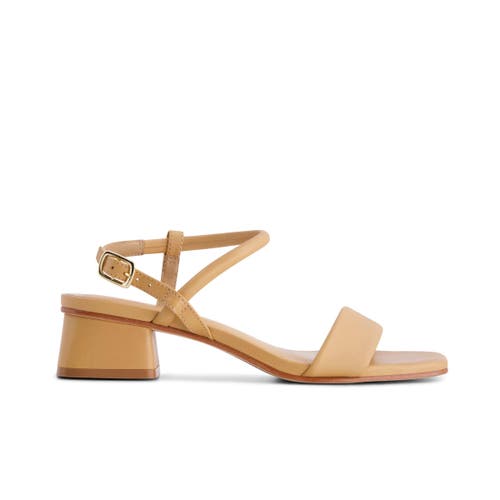 Bernardo Footwear Josei Low Heel Sandal In Dune