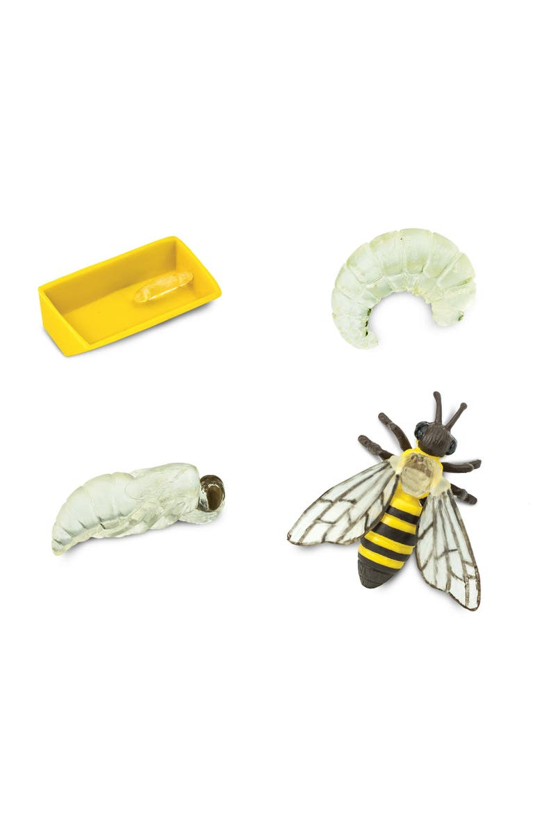 Safari Ltd. Life Cycle Of A Honey Bee, Alternate, color, NO COLOR