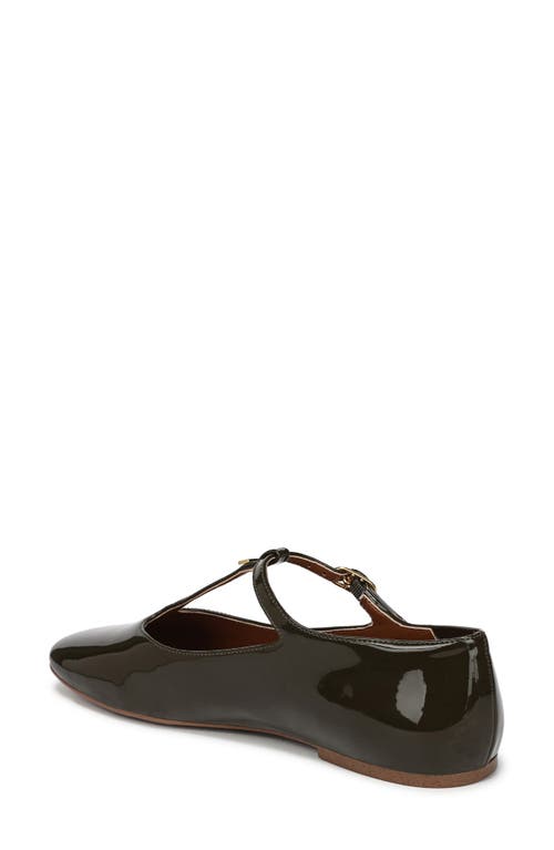 Franco Sarto Marylee T-strap Flat In Brown