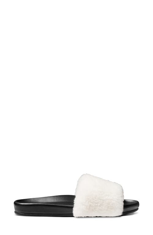 Beek Gallito Más Genuine Shearling Slide Sandal In Black