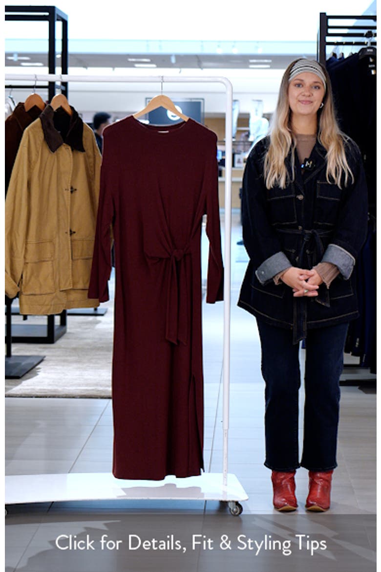 Valeriane Long Sleeve Side Tie Dress video
