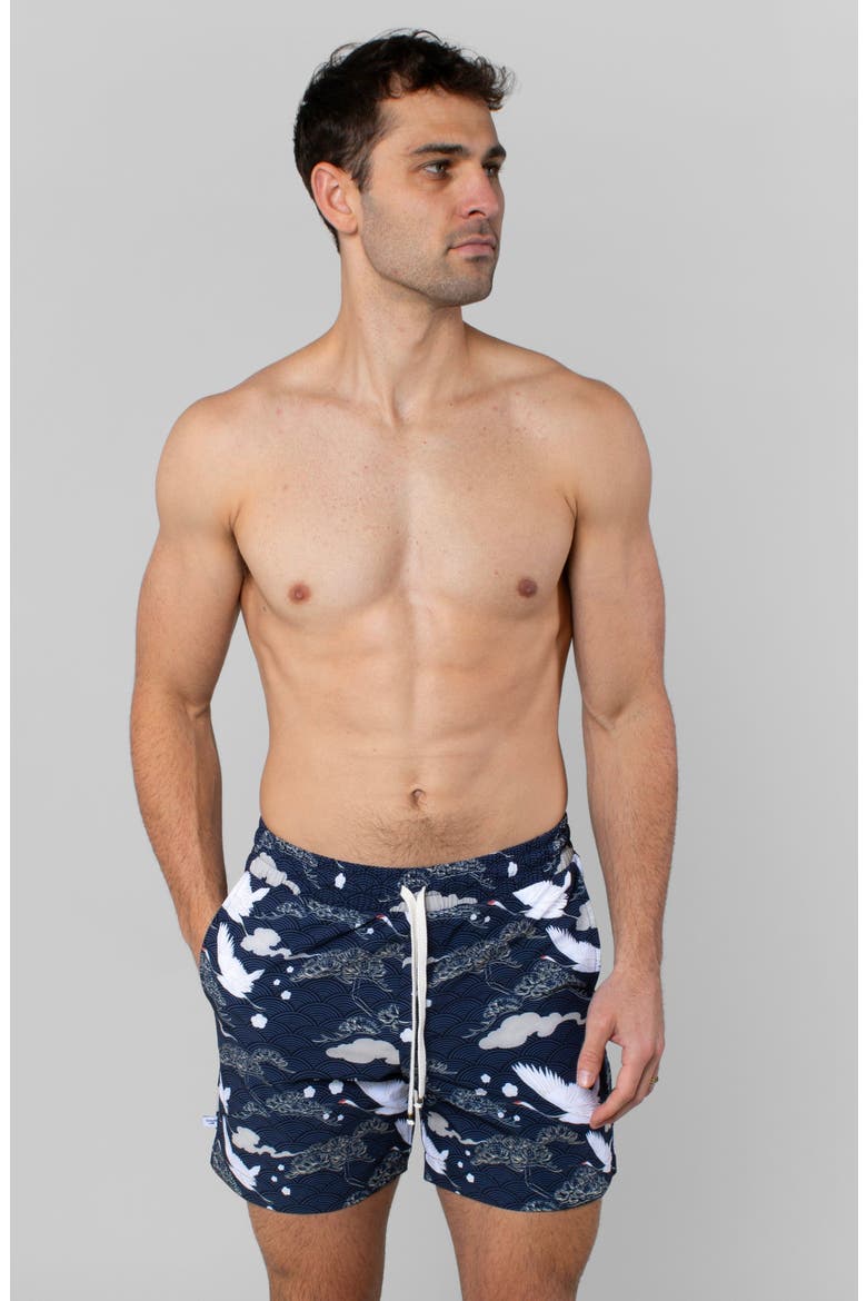 Swan Dive Swim Trunk, Alternate, color, Swan Dive