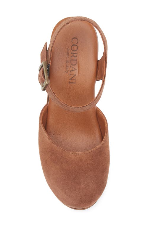 Cordani Warner Ankle Strap Platform Clog In Brown