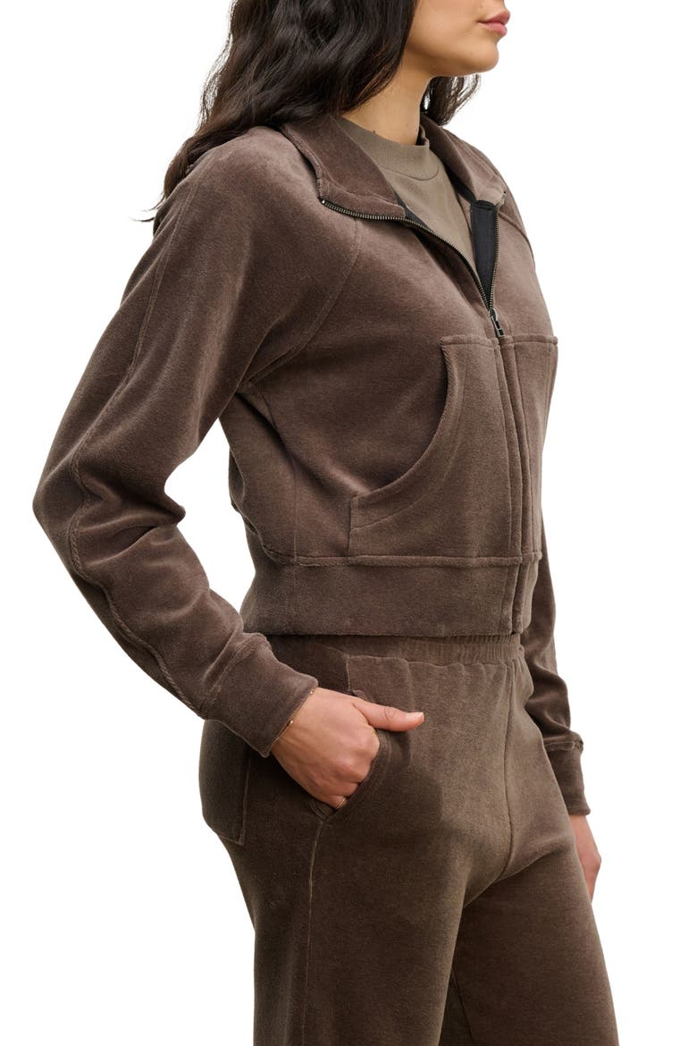 Velour Full Zip Jacket, Alternate, color, CHOCOLATE BROWN