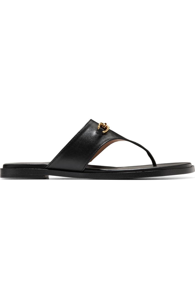 Cole Haan Flynn Thong Sandal, Alternate, color, Black Leather