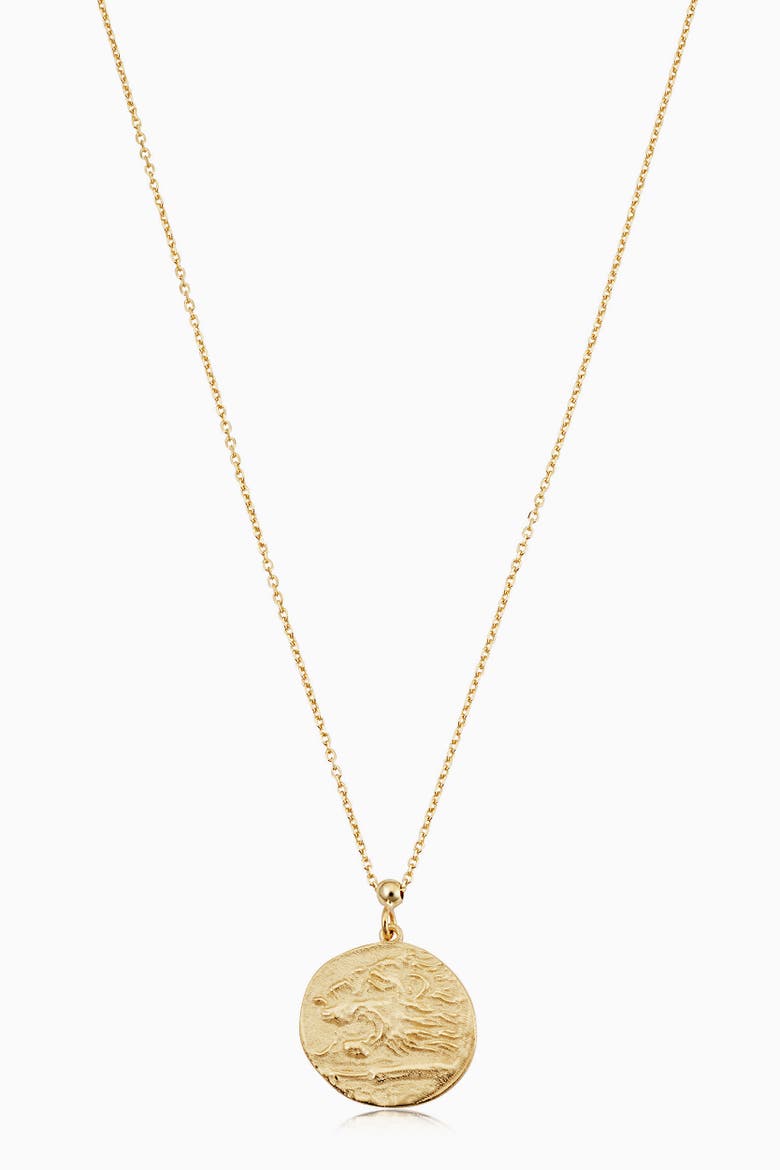 14K Yellow Gold Greek Lion Medallion Necklace, Main, color, Yellow Gold