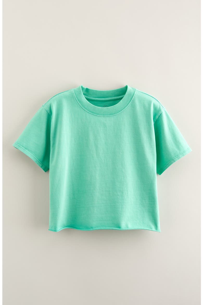 Kids' Crop Cotton T-Shirt, Main, color, GREEN CREAM