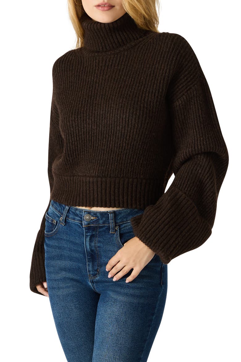 Adelade Turtleneck Sweater, Alternate, color, DARK ESPRESSO