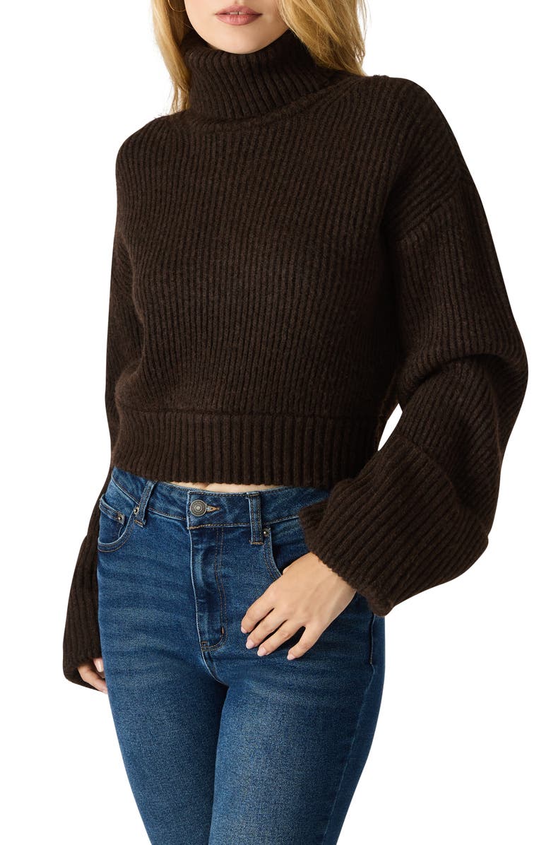 Steve Madden Adelade Turtleneck Sweater, Alternate, color, Dark Espresso