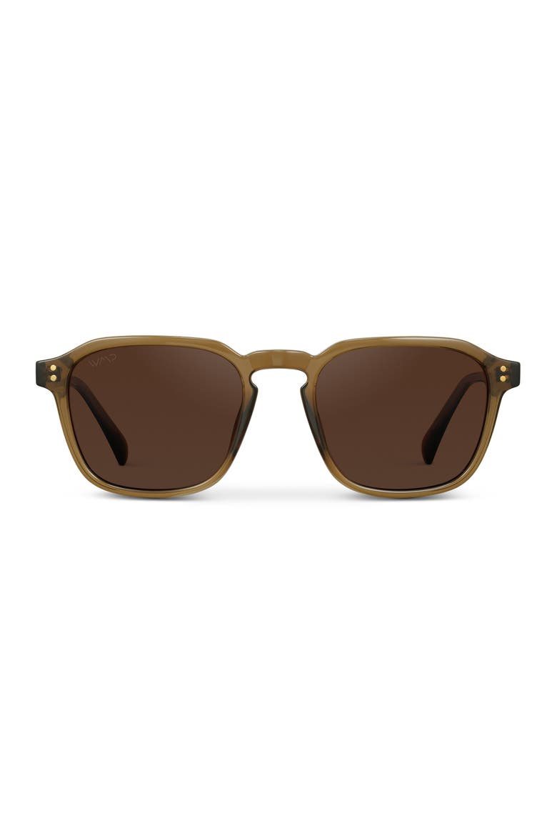 Francis - 52mm Geometric Square Polarized Sunglasses, Main, color, Crystal Verde