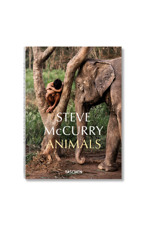 Steve Mccurry Animals English Book