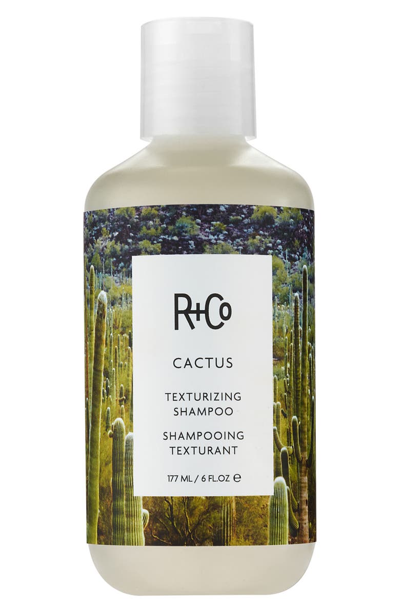 R+Co Cactus Texturizing Shampoo, Alternate, color, 
