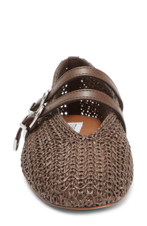 Steve Madden Laney Ballet Flat In Brown