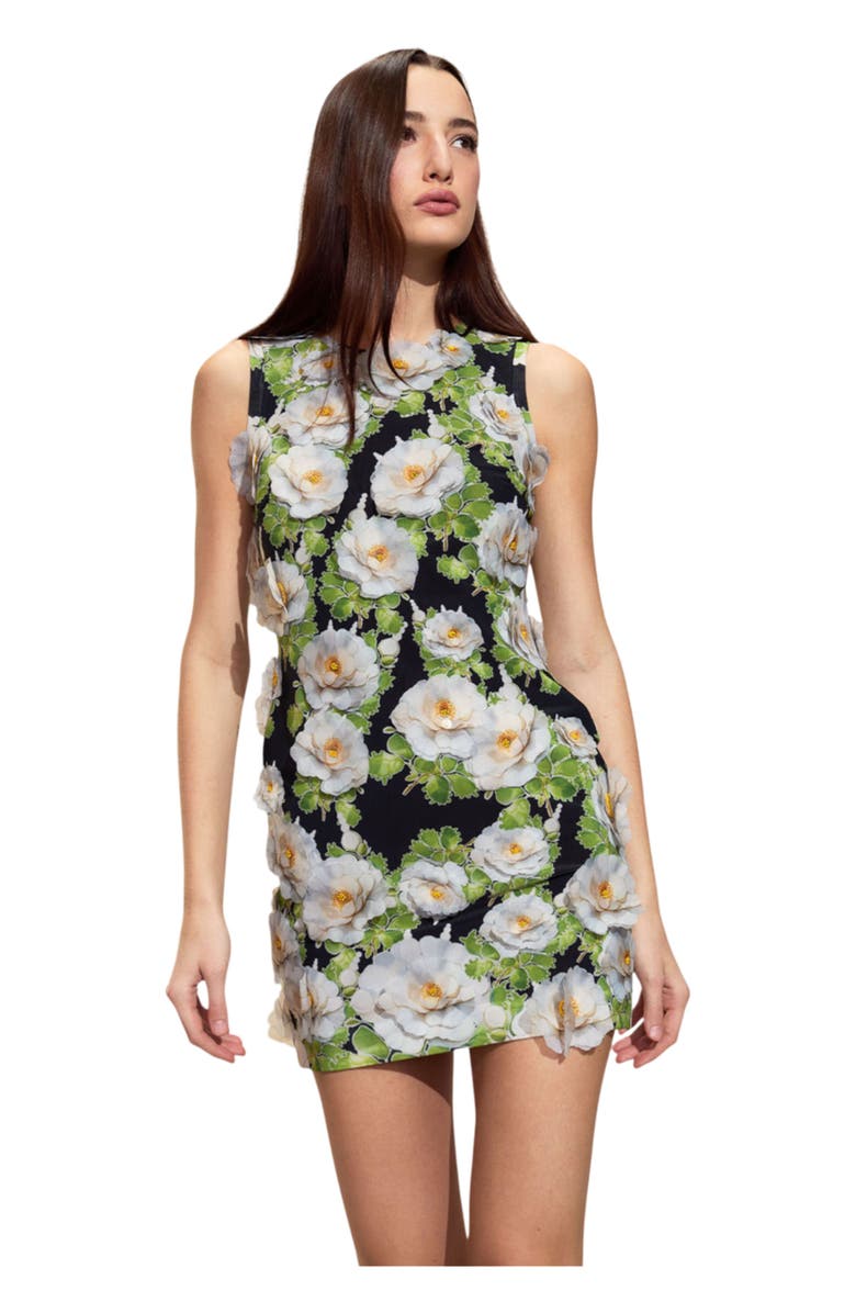 Cynthia Rowley Cornelia Applique Mini Dress, Main, color, 