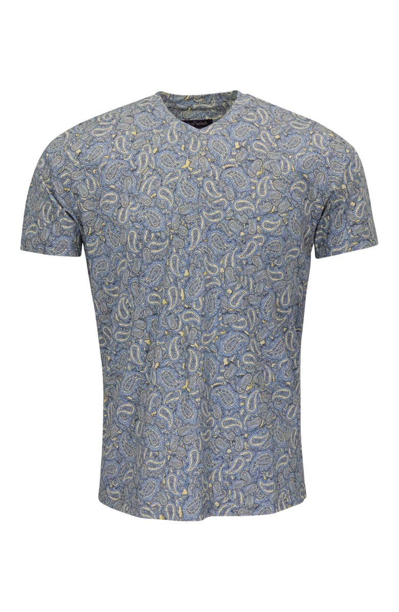 Lords of Harlech Paisley Pile Mens Vneck Tee, Alternate, color, Paisley Pile Sunshine